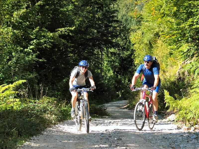 Apartments Bohinj Mavrica Zewnętrze zdjęcie